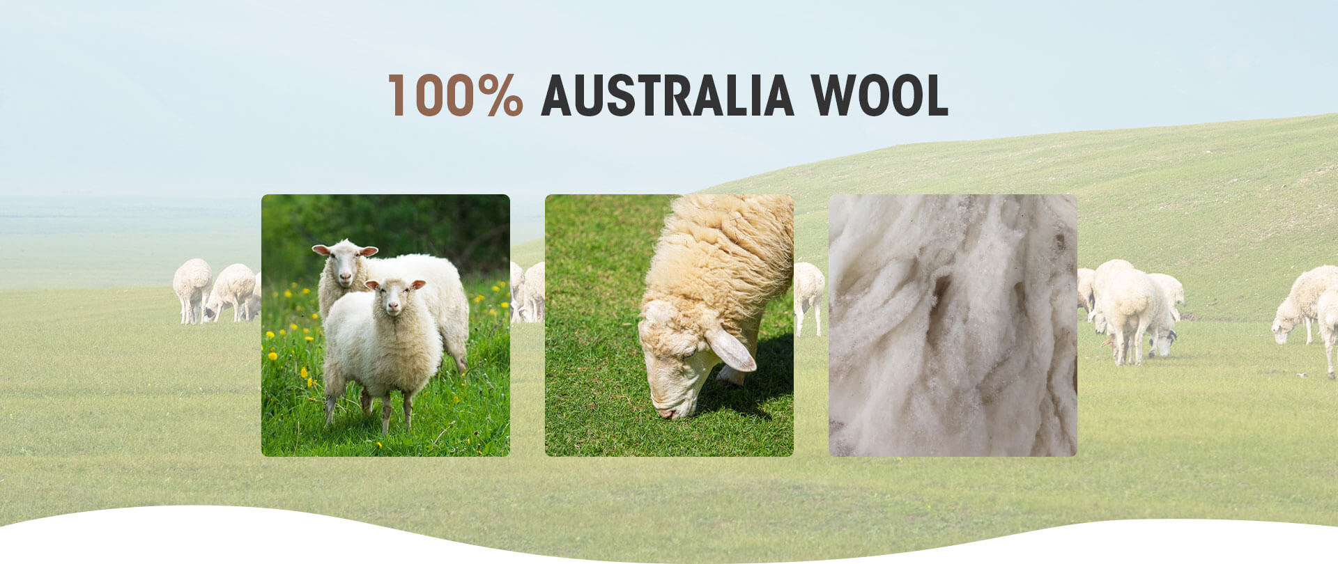 100% Austrial Wool